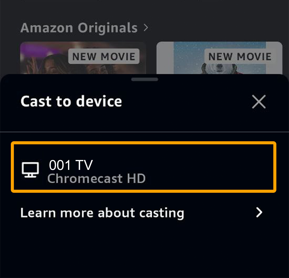 Select Cast Device